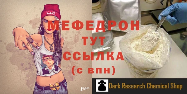 мдпв Заводоуковск