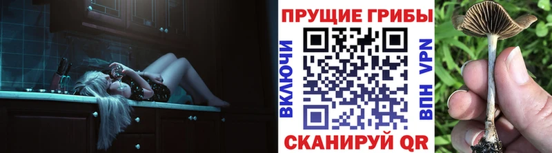 Галлюциногенные грибы GOLDEN TEACHER  Сретенск 